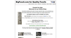 Desktop Screenshot of bigfossil.com