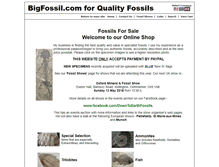 Tablet Screenshot of bigfossil.com